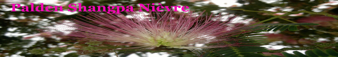 Palden Shangpa Nièvre